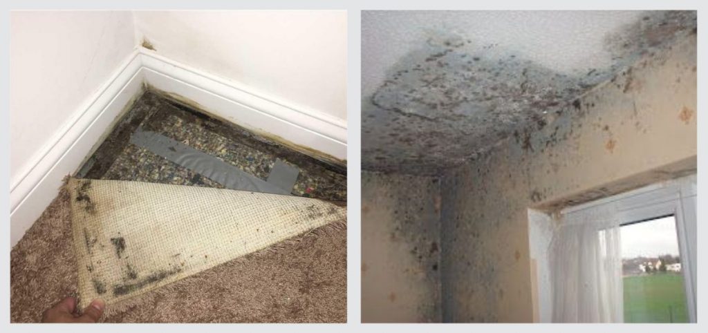 How Humidity And Moisture Can Damage Your Home - Healthy Homes