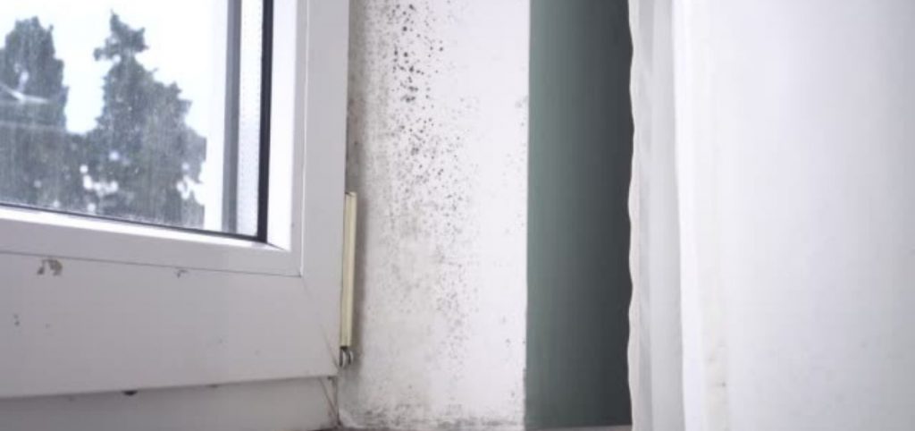 how-humidity-and-moisture-can-damage-your-home-healthy-homes